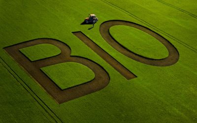 Boom di prodotti biologici italiani all’estero