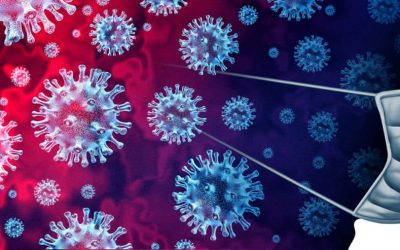 EXPORT VS CORONAVIRUS