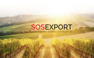 Vino italiano leader dell’export negli Usa