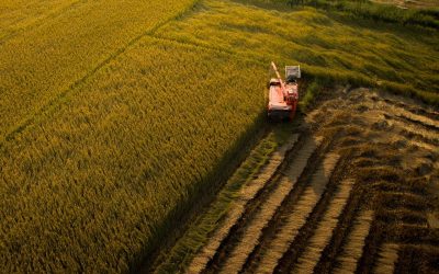 Agricoltura: cresce export per quella Biodinamica, + 14%