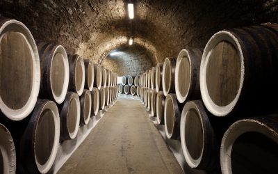 I vini toscani brindano (dal vivo) ai buoni dati di inizio 2021