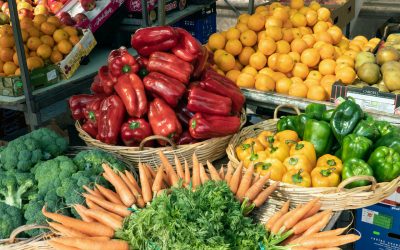 Agroalimentare, continua la corsa dell’export italiano nel primo trimestre del 2021