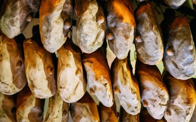 Prosciutto San Daniele DOP, fatturato 2021 sale a +14%. Incremento vendite, ottimi risultati anche per esportazioni