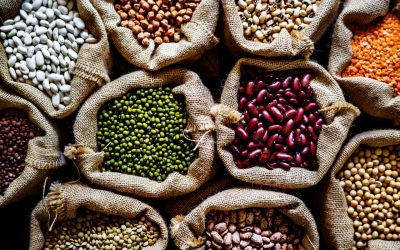 I legumi in scatola a Expo Dubai per spingere sull’export (già al 55%)